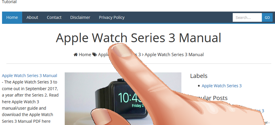 Apple Watch Series 3 Guide